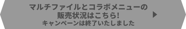 マルチファイルとコラボメニューの販売状況はこちら!